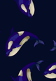 skucolor