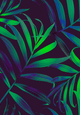 skucolor