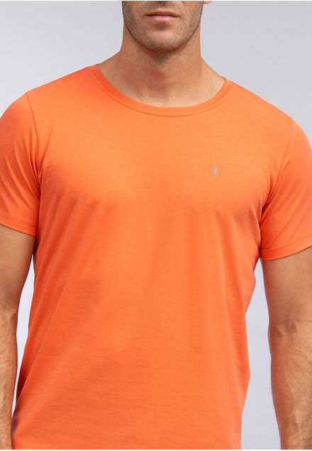 Camiseta Basica