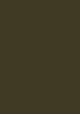 skucolor